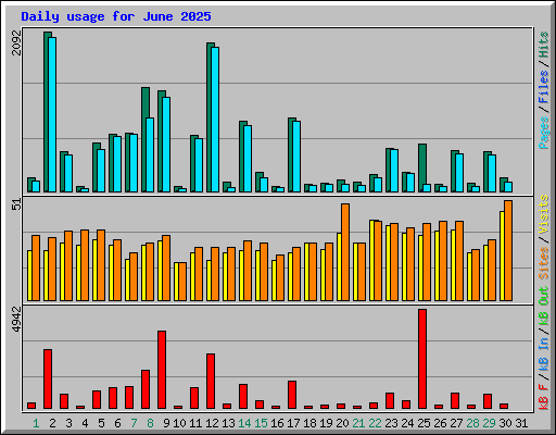 Daily usage for June 2025