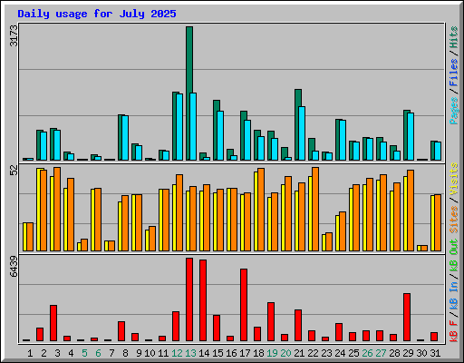 Daily usage for July 2025