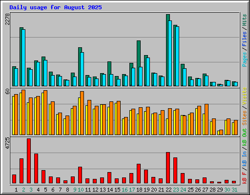 Daily usage for August 2025