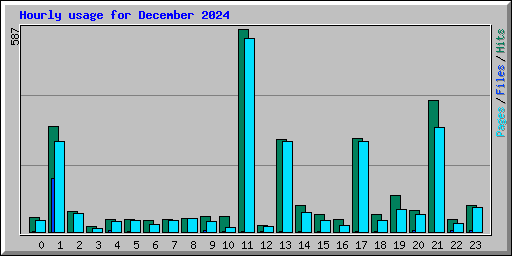Hourly usage for December 2024