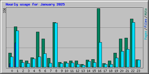 Hourly usage for January 2025