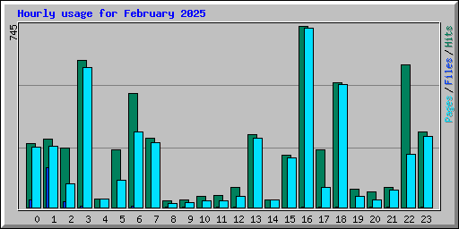 Hourly usage for February 2025