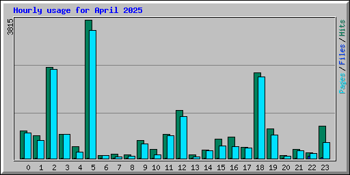 Hourly usage for April 2025