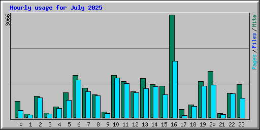 Hourly usage for July 2025